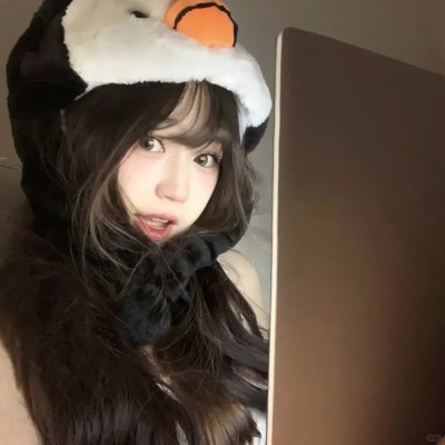 聪明的鸭子